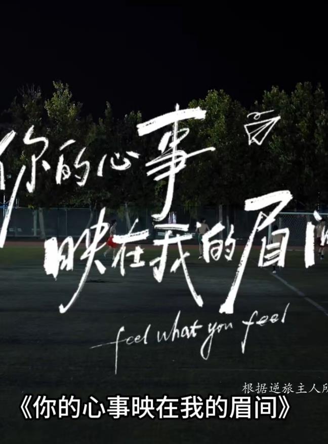 你的心事映在我的眉间——在爱中疯狂
