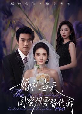 婚礼当天，闺蜜想要替代我——庄生梦蝶